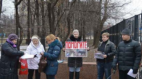 Молчание щенят