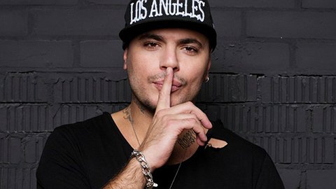 Птаха улетел из Госдумы